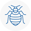 Bed Bug Extermination In Stowmarket