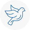 Bird Prevention Stowmarket