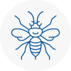 Stowmarket Hornet Nest Removals
