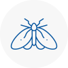 Moth Control Specialists In Stowmarket