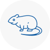 Rat Control Stowmarket