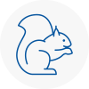 Stowmarket Rodent Removals